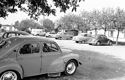 sa63151803.jpg