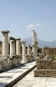Pompeii, Forum
